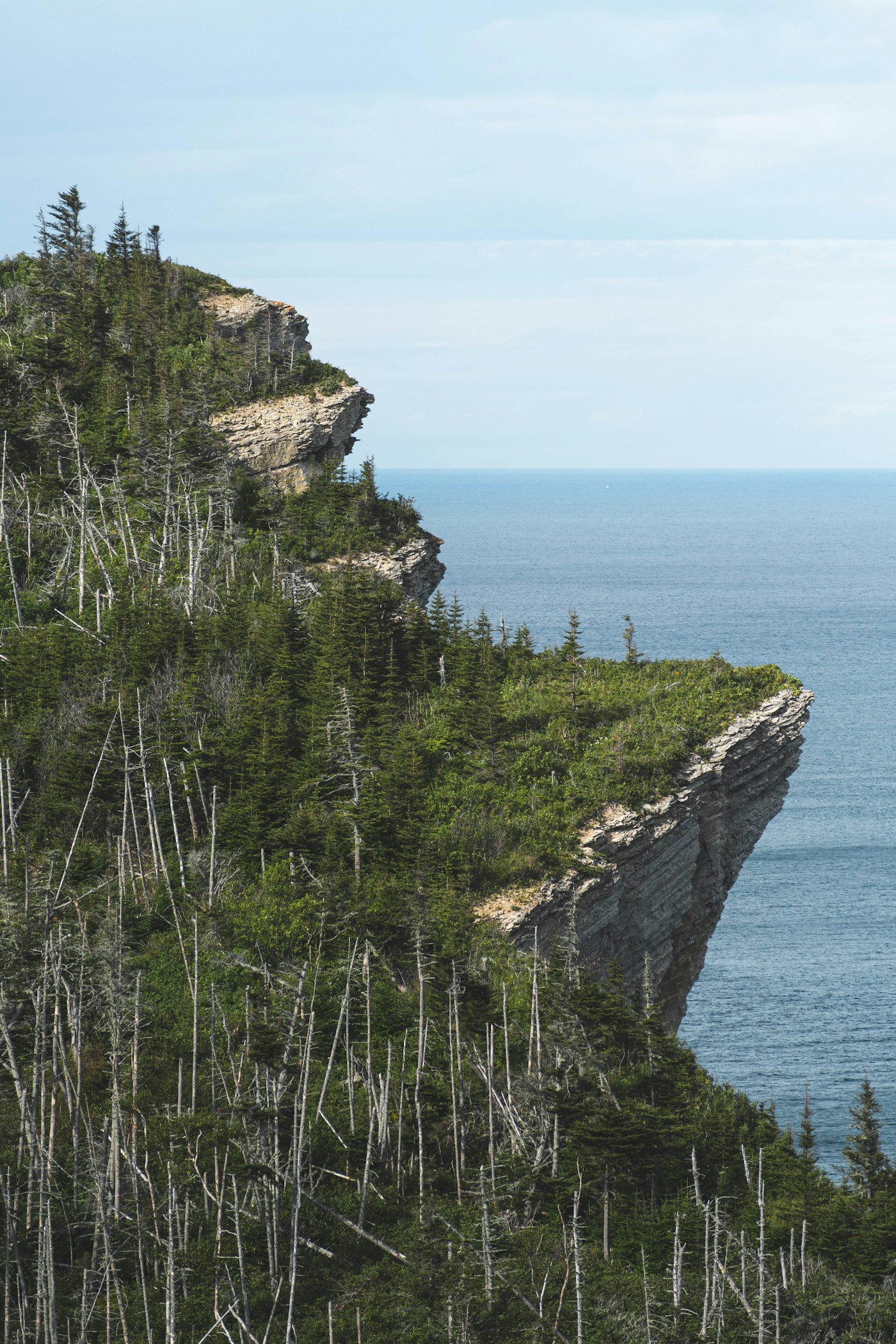 Pointe rocheuse couverte de verdure