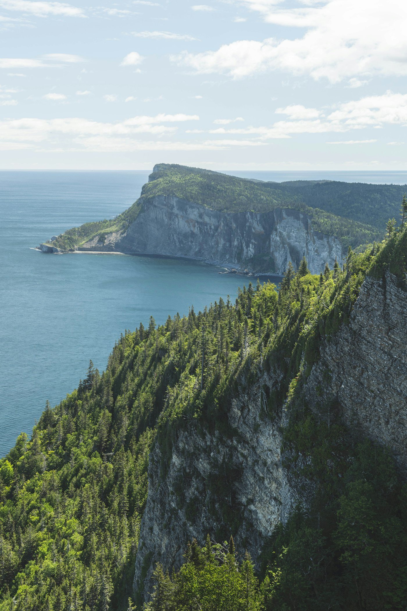 Montagnes boisées qui plongent dans la mer