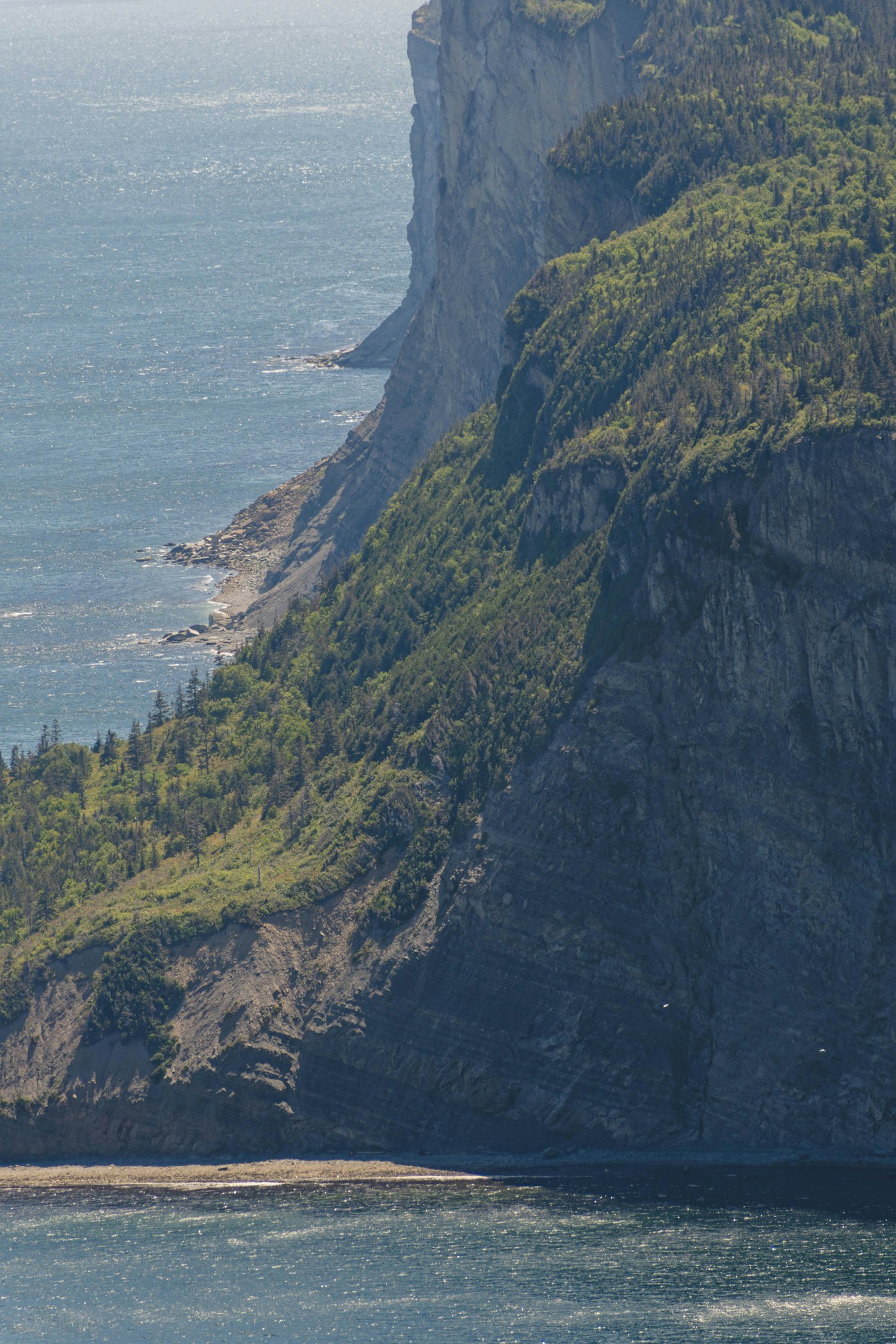 Côte montagneuse de la Gaspésie