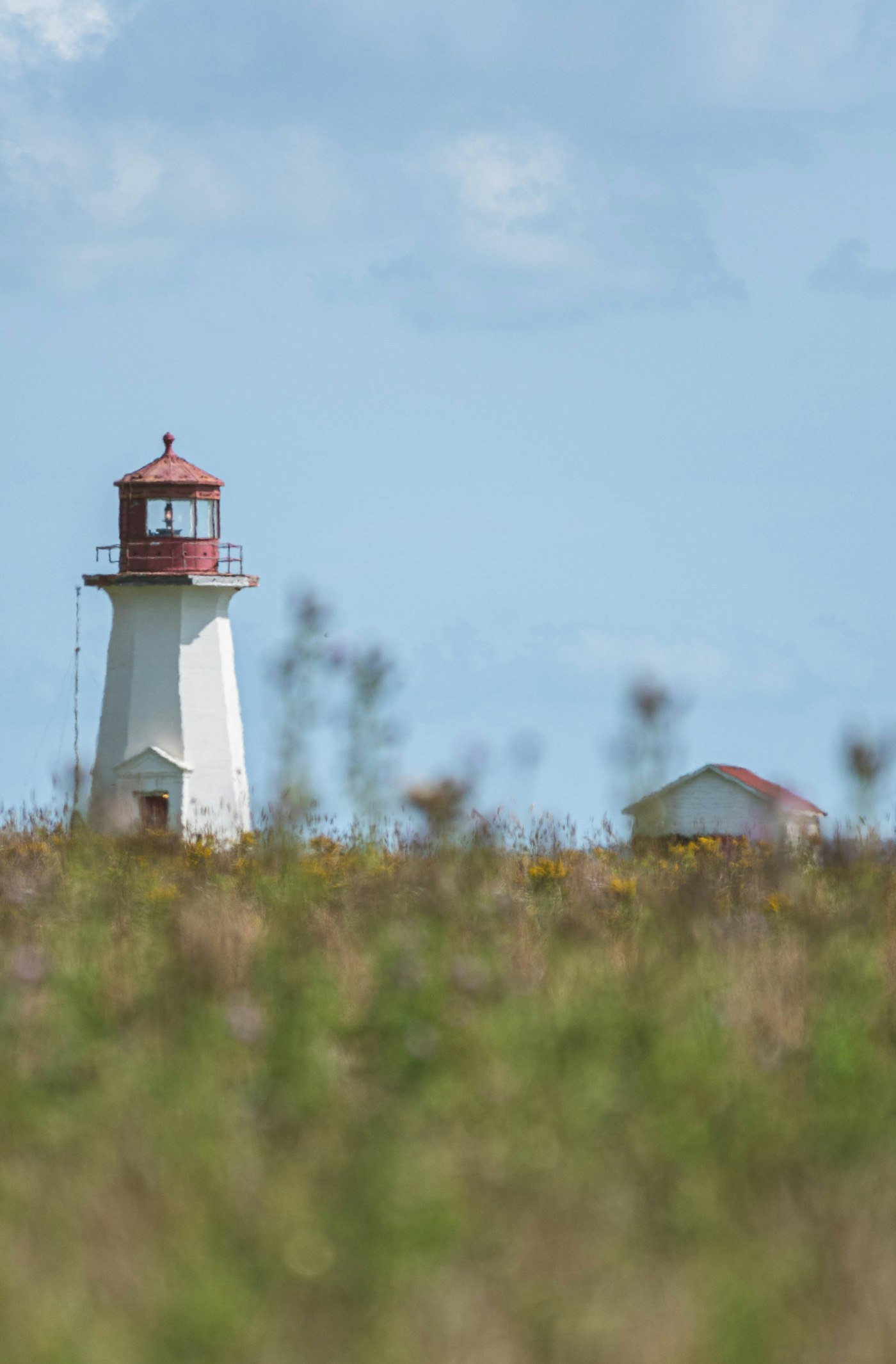 Un phare rouge et blanc dans les herbes